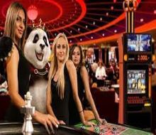 royal panda casino nodepositcasinoscanada.com